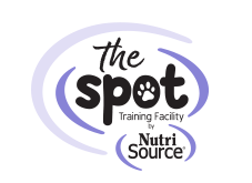 The Spot Training Facility
